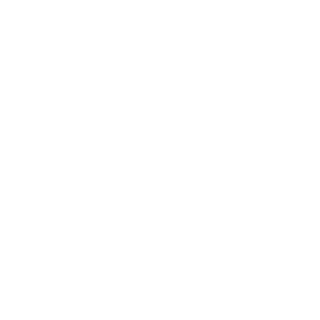 Gemini Astrology Symbol