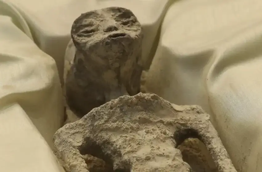  Alien Bodies on View